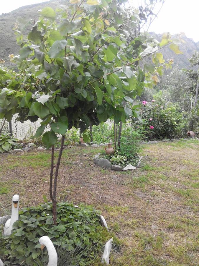 Villa Piano Mtsʼkhetʼa Екстериор снимка